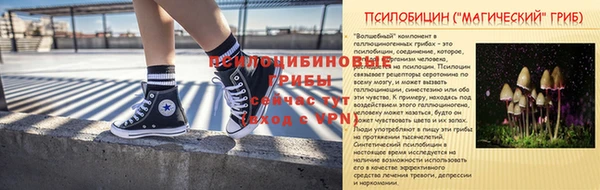 молекула духа Алексин