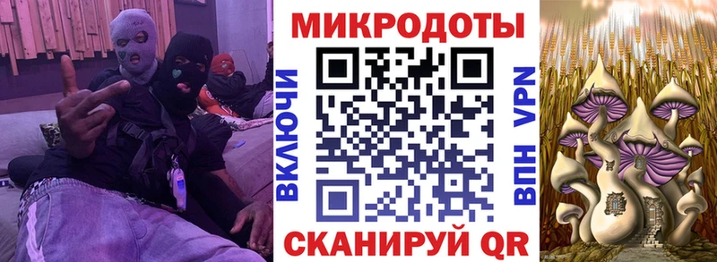 Псилоцибиновые грибы прущие грибы Арамиль